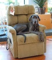 Maggie in a Cambridge Lift Chair (Color-Cognac)