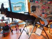 Lyle on the Teeter Hang Up Inversion Table